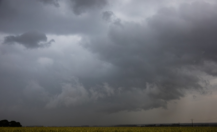 IMG 0873-Enhanced-NR