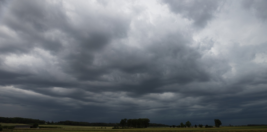 IMG 0884-Enhanced-NR