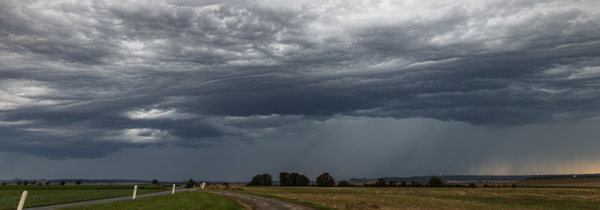 IMG 1043-Enhanced-NR