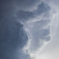 383A7393-Enhanced-NR.jpg