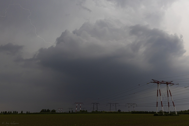 Miscellany | Random Shots