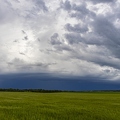 383A9410-Enhanced-NR.jpg