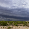 383A8595-Enhanced-NR.jpg