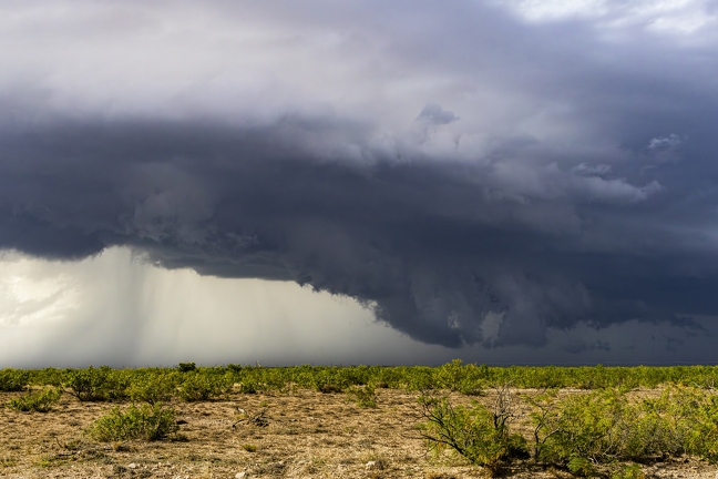 383A8621-Enhanced-NR