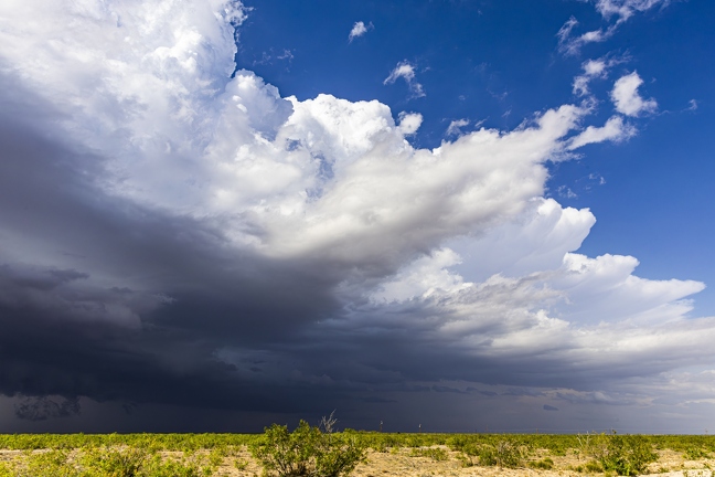 383A8632-Enhanced-NR