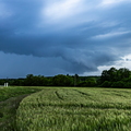 10052026-383A9544.jpg