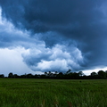 10052026-383A9623.jpg